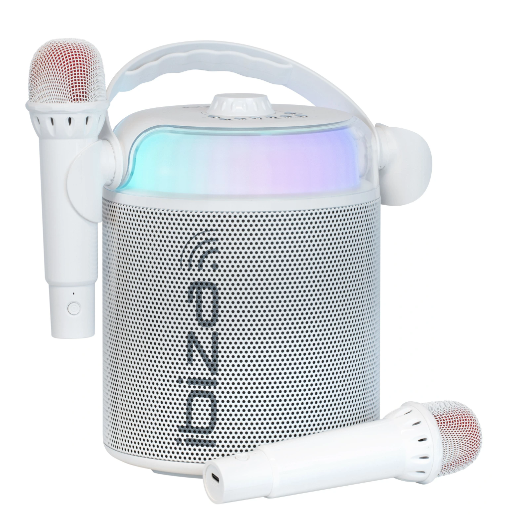 Ibiza Sound KARAHOME Enceinte Karaoké Bluetooth 120W