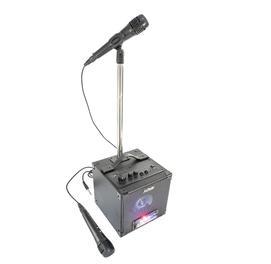 Générique Enceinte Karaoké Enfant 2 Micros + Pied